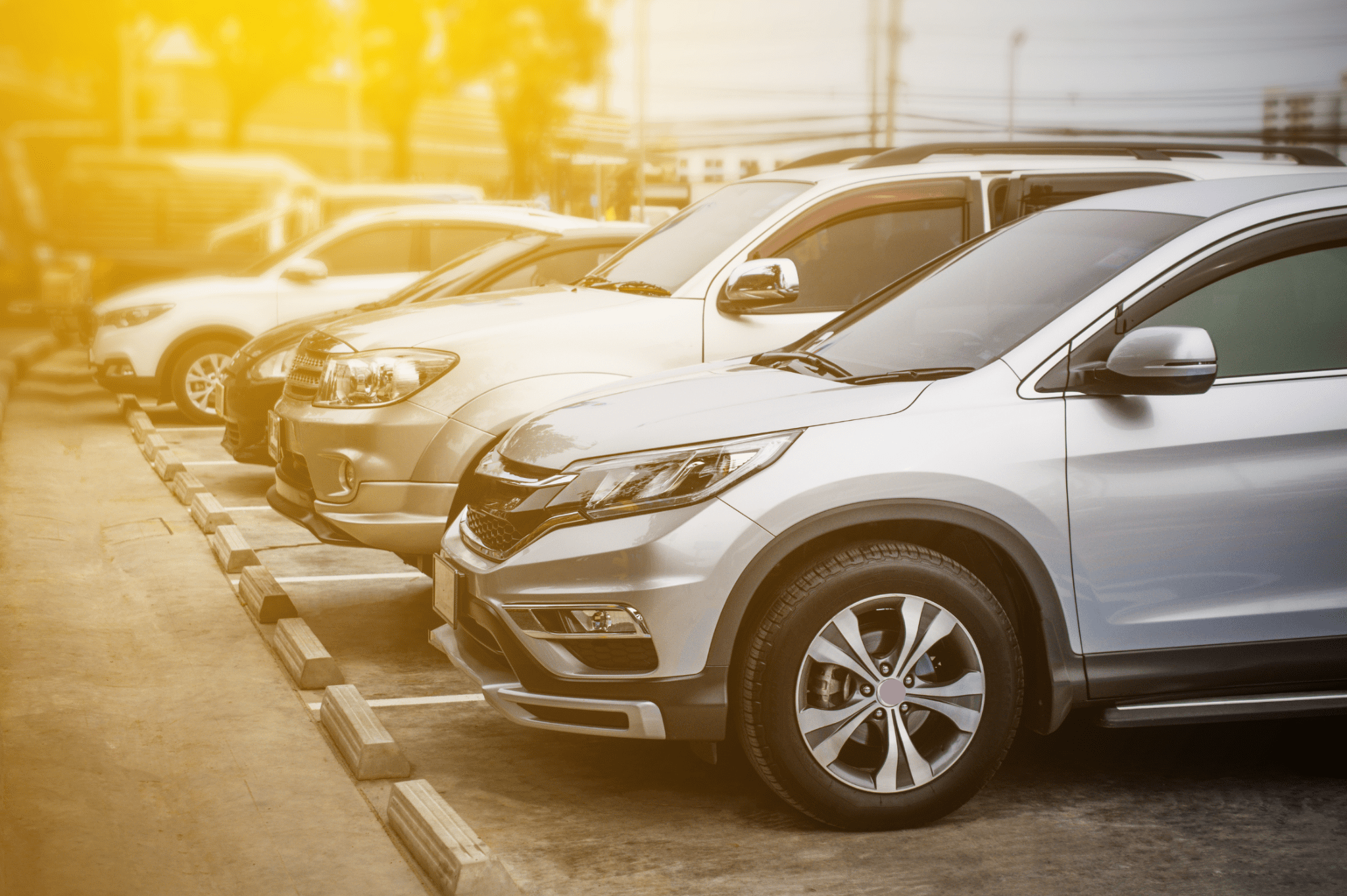 Our Services | 株式会社Japan Auto Technica
